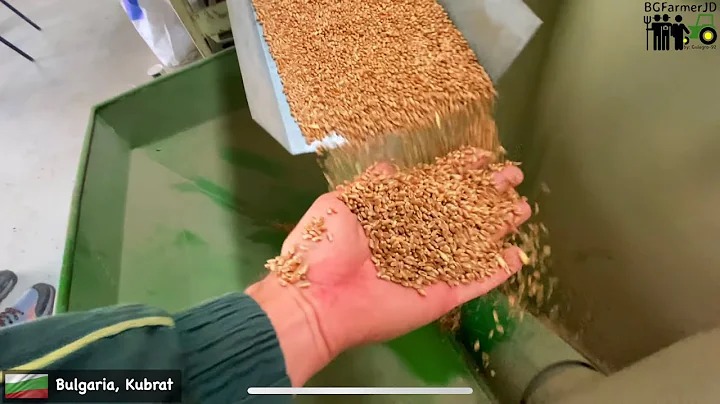 4K   Wheat seed cleaning  PETKUS K541 Super  Made ...