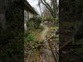 From Messy Backyard to Beautiful Garden Walkway  #shorts #viral #fyp #Landscape #asmr #lawn #usa