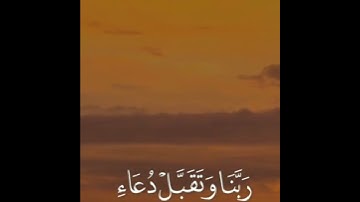القران الكريم 227
