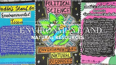 Environment and natural resources 🌍🪴|| Political Science Project file || Class 12th || Best File ||