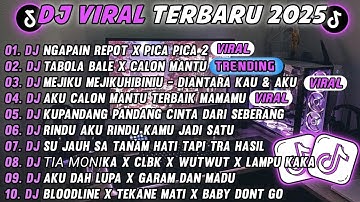 DJ TIKTOK TERBARU 2025-🎵DJNGAPAIN REPOT X PICA PICA 2 🎵DJ TABOLA BALE X CALON MANTU FULL ALBUM