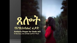 የእግዚአብሔር ቃል እያሰላሰሉ አይምሮን ማሳረፍ:- የእግዚአብሔር  ፈቃድ Amharic Prayers reading aloud Bible verses screenshot 4
