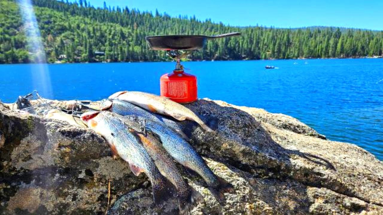 Pinecrest Trout Fishing Catch-&-Cook (One Bait To Rule Them All)