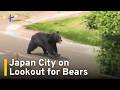 Japan City Still on Alert for Wild Bears｜TaiwanPlus News