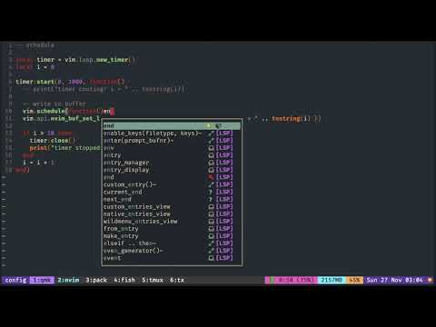 Lua Tutorial Neovim: vim.schedule & vim.schedule_wrap
