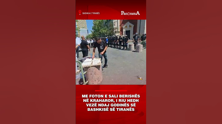 Me foton e Sali Berishës në kraharor, i riu hedh vezë ndaj godinës së bashkisë së Tiranës