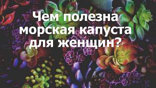Чем полезна морская капуста для женщин? Чем полезна морская капуста для женщин?
