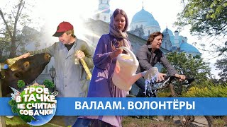 «Трое в тачке, не считая собачки» | Валаам. Волонтёры