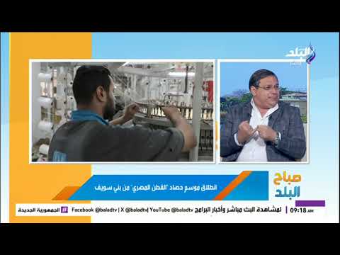 د مصطفى عمارة يكشف تفاصيل انطلاق موسم حصاد القطن المصري
