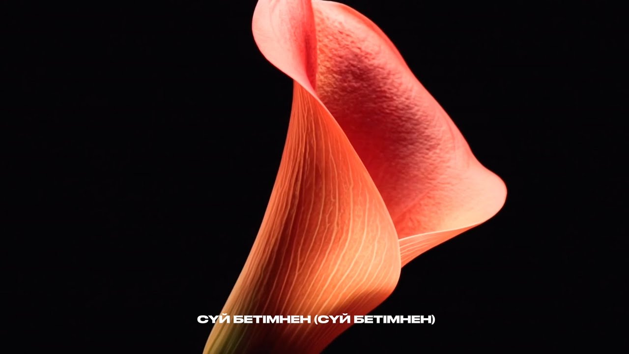 MEREY - CARPE DIEM (Lyrics Video)