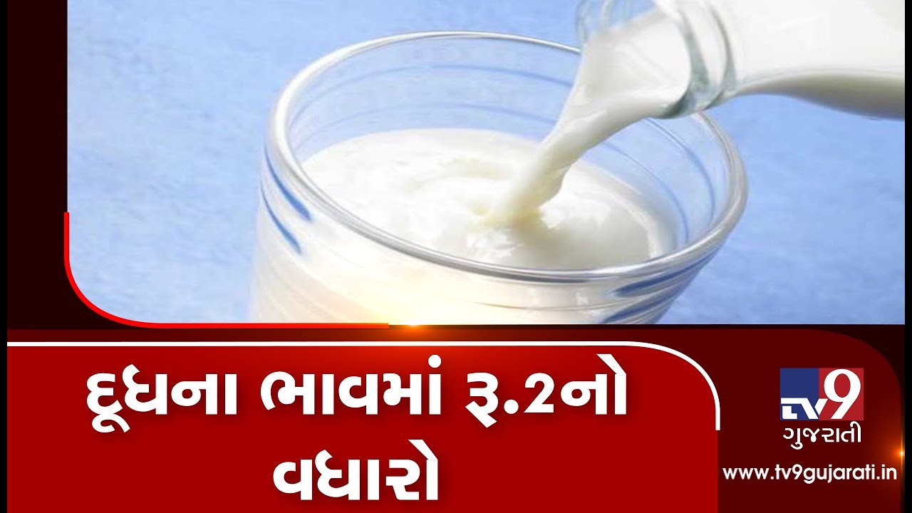 Sumul dairy hikes milk rates by Rs 2 per litre, Surat | Tv9GujaratiNews ...