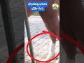 سبحان الله الخيل كأنه يلبس شرابات في اسطنبول تركيا بكاميرا قناة بحر وسما جديد Shorts سبحان الله الخيل كأنه يلبس شرابات في اسطنبول تركيا بكاميرا قناة بحر وسما جديد Shorts