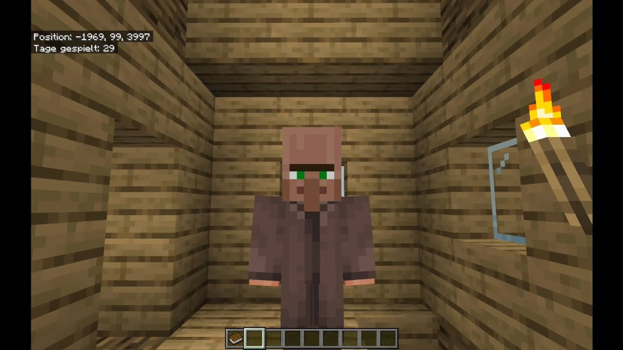 Ich wurde zum villager in Minecraft 