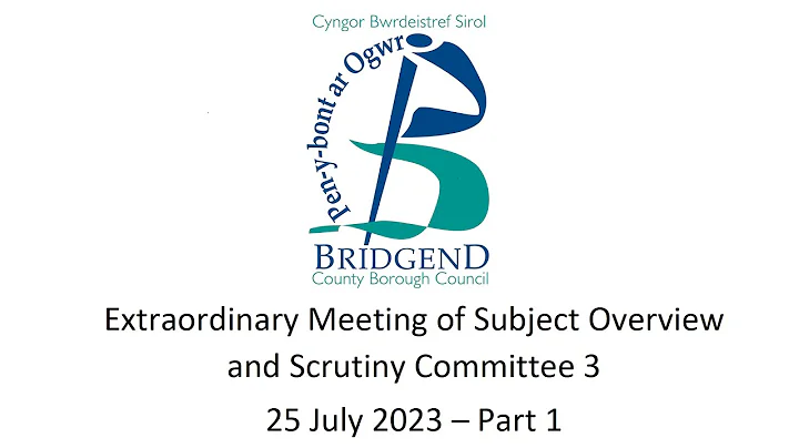 Extraordinary Meeting of Subject Overview and Scrutiny Committee 3 - 25 July 2023 - Part 1