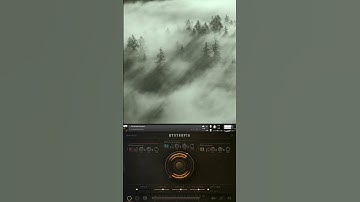A soundscape as haunting as the misty forest...
