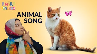 The animal song with Amira Rashad