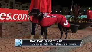 Ladbrokes Irish Greyhound Derby 2012 Quarter Finals