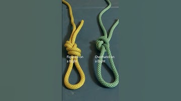 Which Knot to Use? Overhand on a Bight Versus Figure Eight on a Bight #shorts