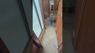 2010 TIFFIN MOTORHOMES Phaeton 36 QSH