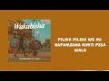 Tophernizer Ft K Pizo Wakubisha Official Lyrics Audio