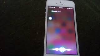 Hey Siri, Self destruct! @Blue_Light803