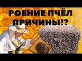 🐝Роение пчёл и причины.