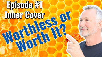 Beekeeping | Ep.1 Is It Worthless Or Worth It? Today: The Inner Cover
