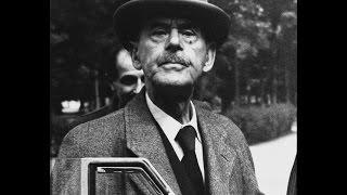 Thomas Manns The Magic Mountain