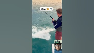 Wait for it 👀 Sub4part2🦈 #shark #sharks #Fishing #shorts #fish #outdoors #ocean #boat #boats #wild