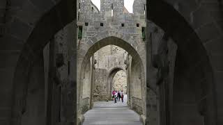 Outside Carcassonne Citadel, the medieval citadel in Southern France