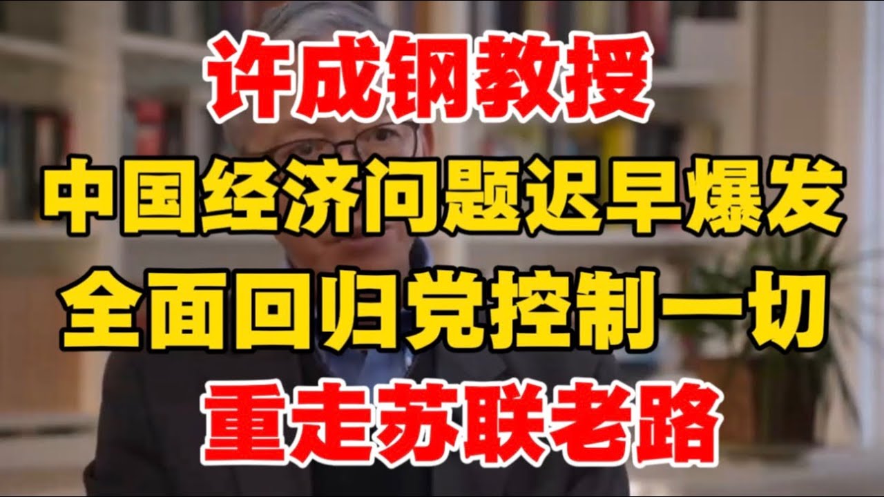 【全网禁播】许成钢教授：中国经济问题迟早爆发，全面回归党控制一切，重走苏联老路！真的太敢说了！