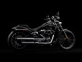 2025 Harley-Davidson Breakout 117 | Flyaround