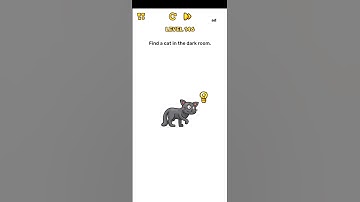 Brain blow level 146 Find a cat in the dark room walkthrough