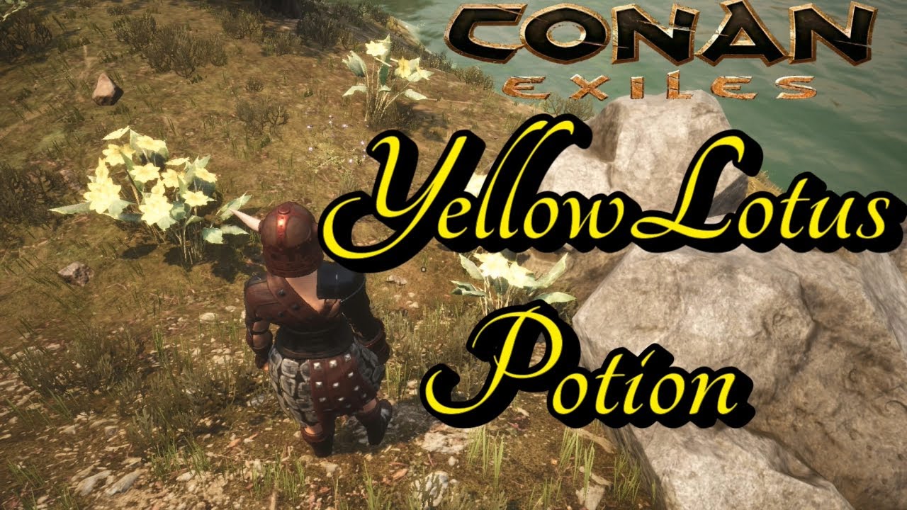 Lovely Yellow Lotus Conan Exiles best wallpaper