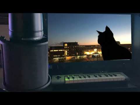 猫 dish// 歌ってみた （-4キー）