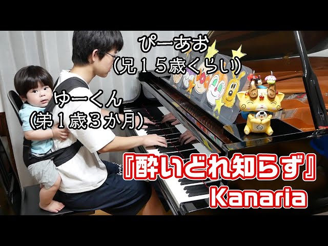 【年の差兄弟】ゆーくん（弟１歳）と『酔いどれ知らず』/Kanaria/Piano/ぴーあおチャンネル