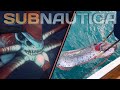 Subnautica Creatures in Real Life! | Creature Counterparts