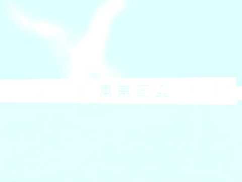 こん僕麻雀 國士無雙