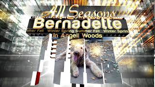 Ex004 BluffTitler BixPack7 Template with Video, Photo & Music