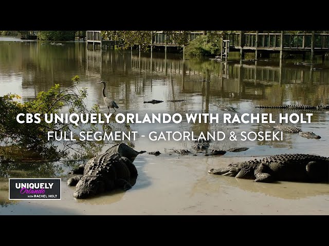 CBS Winter - Uniquely Orlando: Full Segment 1 | Visit Orlando