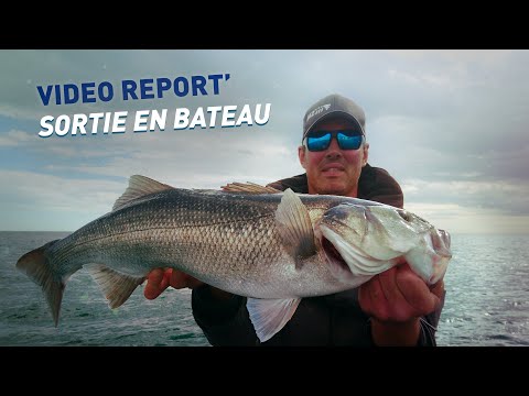 Miniature de la vidéo : Fiiish - Pêche du bar en bateau en Normandie - Vidéo Report'