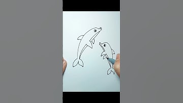 Hướng dẫn vẽ Cá Heo đơn giản ( How to draw dolphin )#shorts