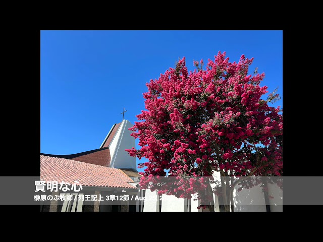 Aug 25, 2024「賢明な心」
