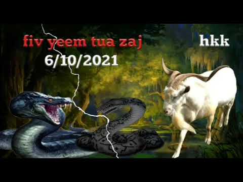 Video: Sab Hnub Tuaj Yeem Haum Horoscope: Nab Thiab Zaj