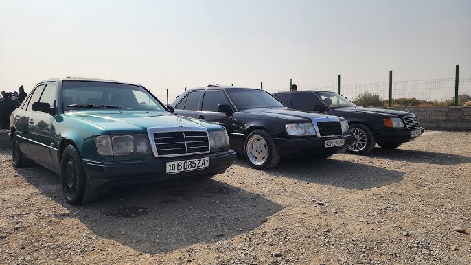 Brave at Heart filmi