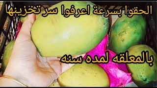 خبره السنين بقالي سنين بعمل كدا من السنه لسنه من غير ما تغير لون ولا طعم  .احزري مش اي مانجا تتخزن