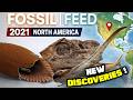 NEW DISCOVERIES : 2021 Paleontology in North America