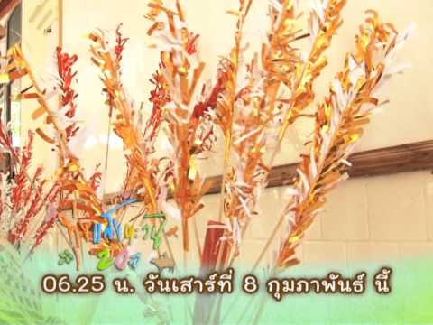 รายการทุ่งแสงตะวัน ตอน บุหงาบังซา ออกอากาศวันเสาร์ที่ 8 ก.พ. 57