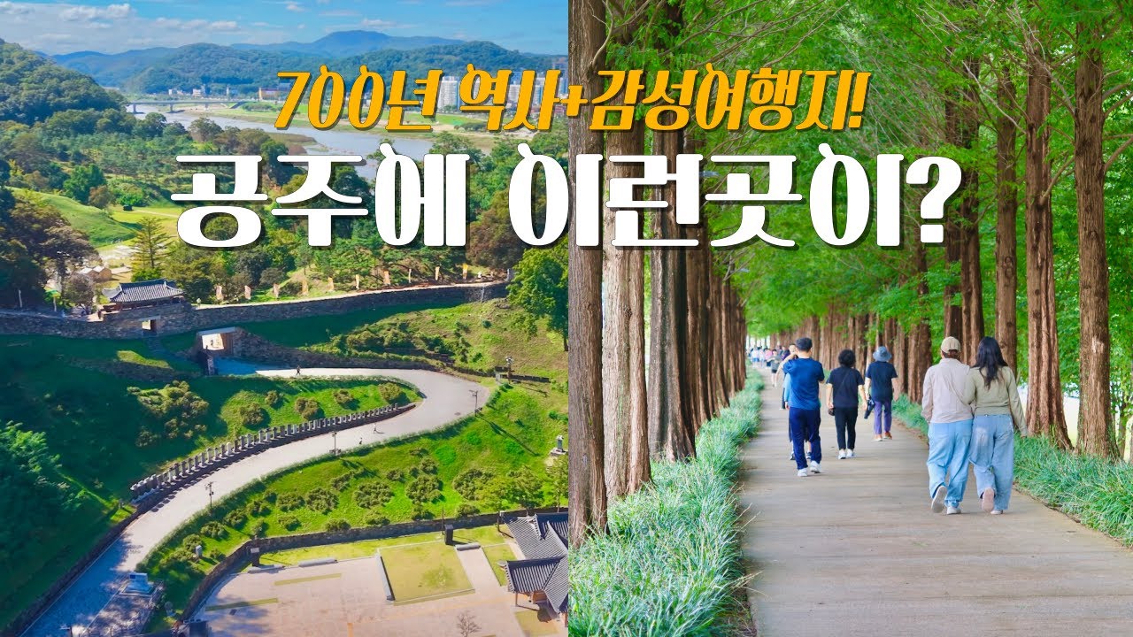 관광객 150만명이 찾는! 유네스코가 인정한 국내최고 여행지!🚌 당일치기 '공주여행'🚶‍♀️