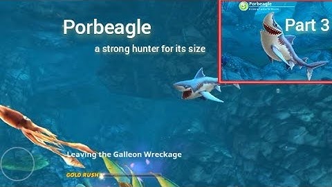 Hungry Shark World - Gameplay walkthrough Part 3 - Porbeagle a strong hunter (IOS,Android)